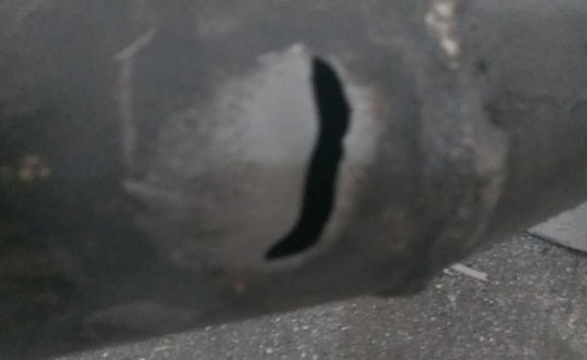 普通91视频免费网站