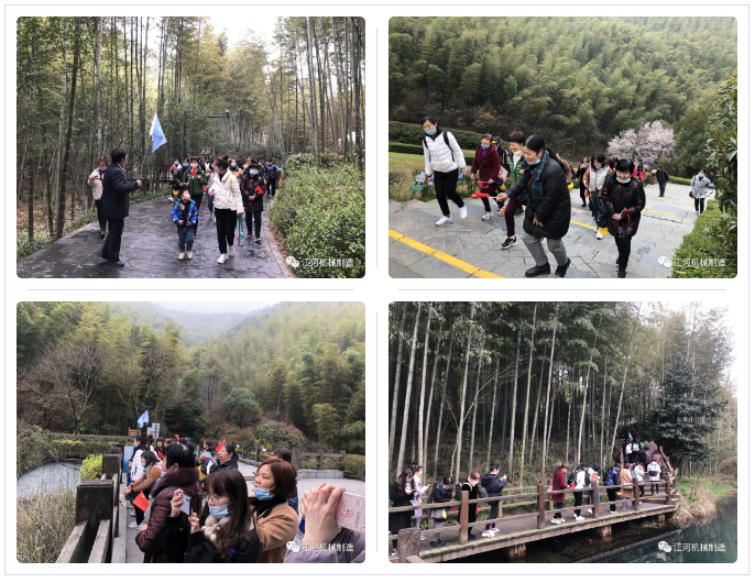 江苏91视频最新地址女神节的旅游纪录