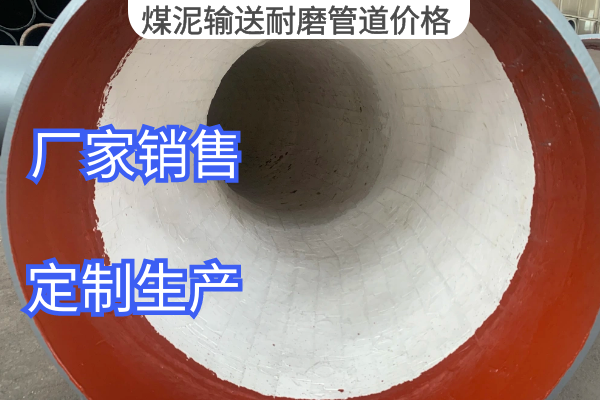 煤泥输送91视频免费网站价格